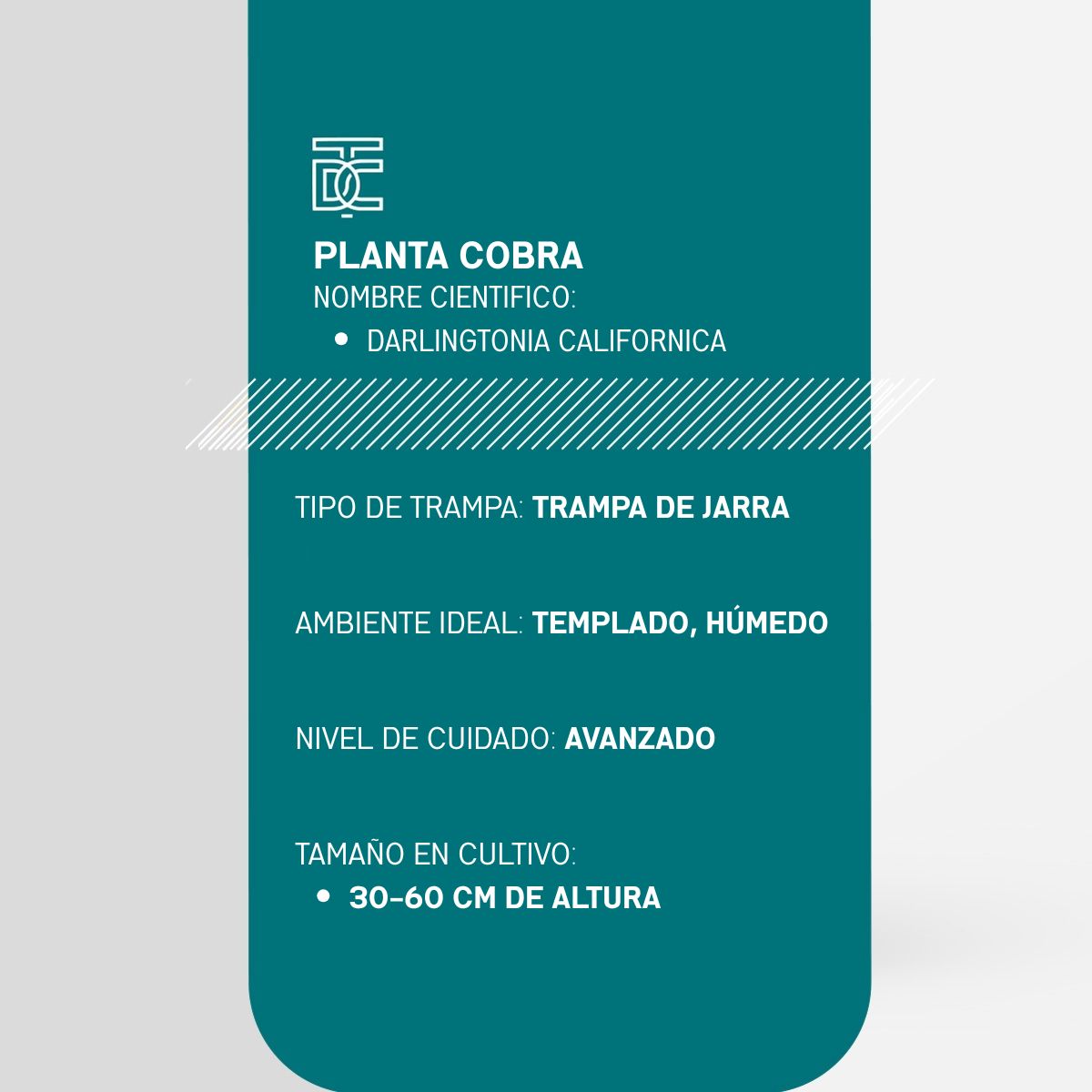 Info Planta Cobra