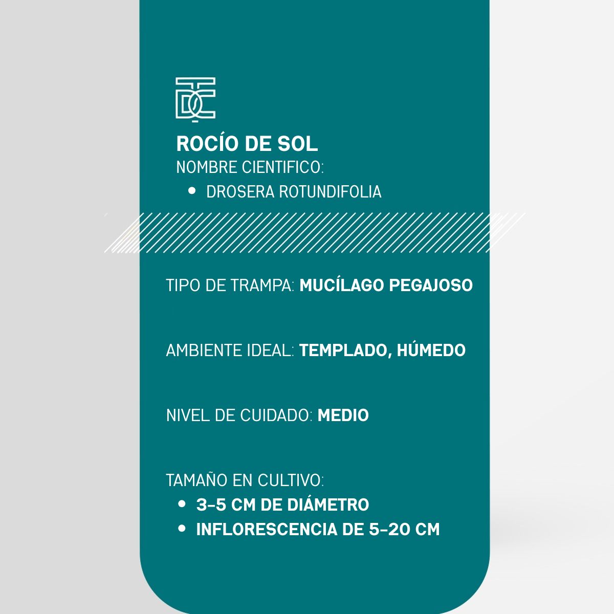 Info Rocío de Sol